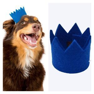 NIB MODERNBEAST Party Beast Crown for Pets